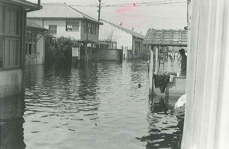 伊勢湾台風の被害